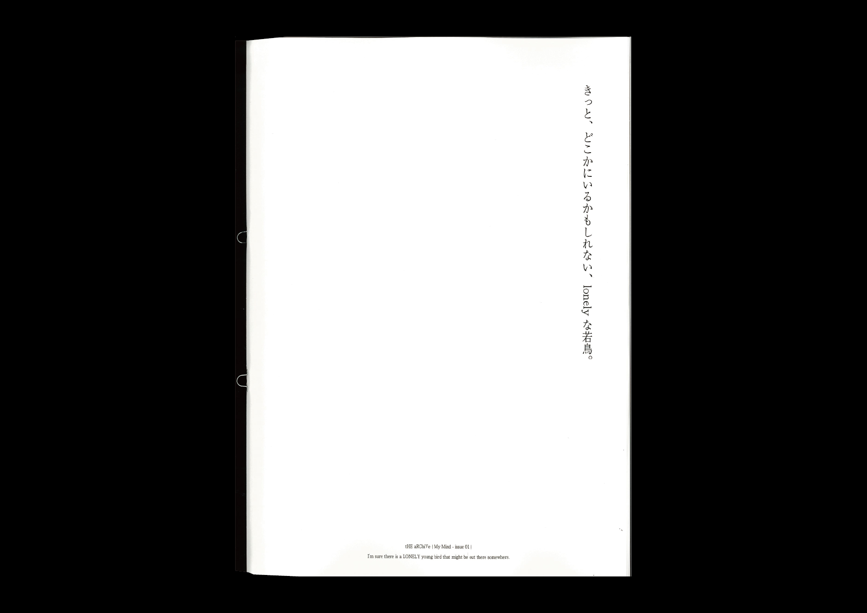 archive 23